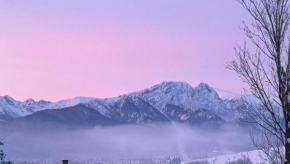 Rolicek 4 Seosons Apartments Zakopane
